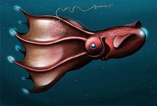 Artist rendering of a vampire squid showing photophores at the tips of the arms 