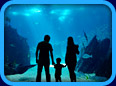 Museum & Aquarium Website Links