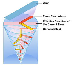 Diagram of the Ekman spiral