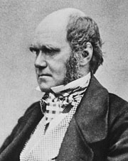 Image of British naturalist Charles Darwin