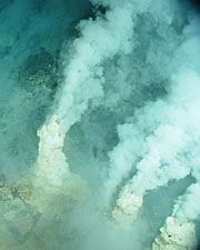 Image of a hydrothermal vents on the ocean floor