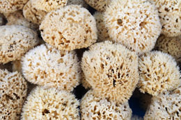 Image of natural sponges harvested from the ocean by divers