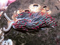 Opalescent Sea Slug