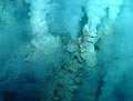 Hydrothermal Vents