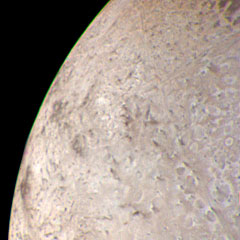 Voyager 2 close-up of Triton showing an icy plain
