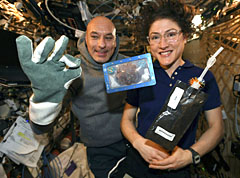 Image of the first cookies baked in space