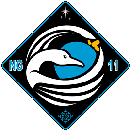 Cygnus NG-11 Mission Insigina