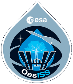 Soyuz TMA-15 OasISS Mission Patch