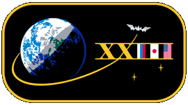 ISS Expedition 23 Mission Patch