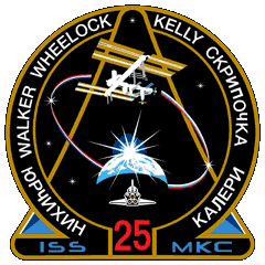 ISS Expedition 25 Mission Patch