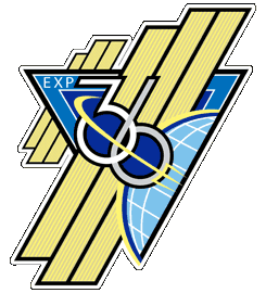 ISS Expedition 36 Mission Patch
