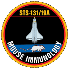 Mouse Immunology Experiment Program Insignia