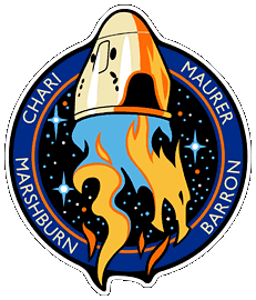 SpaceX Crew 3 Mission Insignia