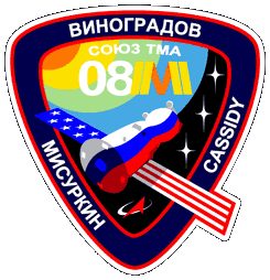 Suoyz TMA-08M Mission Patch