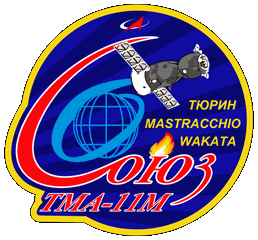 Suoyz TMA-11M Mission Patch