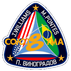 Suoyz TMA-8 Mission Patch