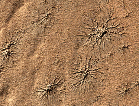 Image from the Mars Reconnaissance Orbiter showing unusual spider-shaped cracks in the surface of Mars