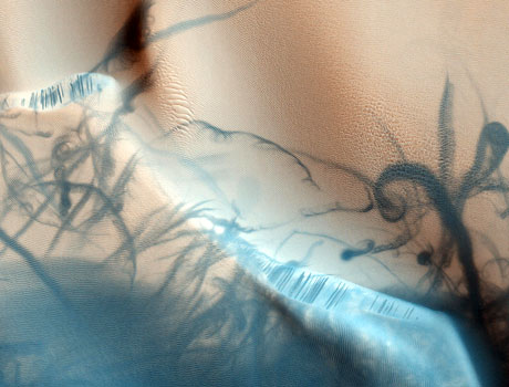 Image from the Mars Reconnaissance Orbiter showing twisting dark trails criss-crossing light-colored terrain on the surface of Mars