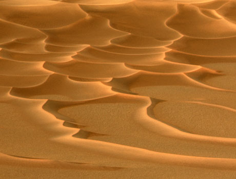 Image showing a field of sand dunes located at the bottom of a large crater on Mars known as Endurance crater