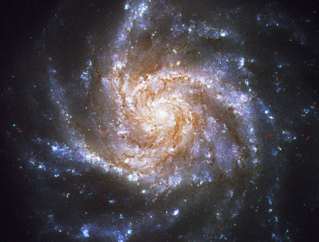 Hubble Space Telescope image of Spiral Galaxy NGC 1376