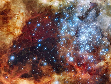 Hubble Space Telescope image of young stars in the Large Magellanic Cloud
