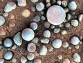 Martian Blueberries