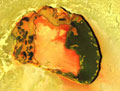 Io Volcano Close-up