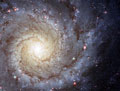 Spiral Galaxy M74