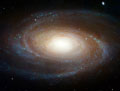 Spiral Galaxy M81