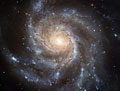 Spiral Galaxy M101