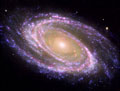 Multiwavelength M81