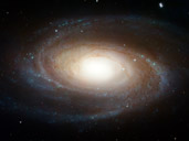 Spiral Galaxy M81