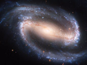 Galaxy NGC 1300